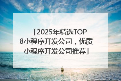 2025年精选TOP8小程序开发公司，优质小程序开发公司推荐