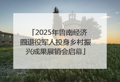 2025年鲁南经济圈退役军人投身乡村振兴成果展销会启幕