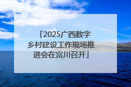 2025广西数字乡村建设工作现场推进会在富川召开