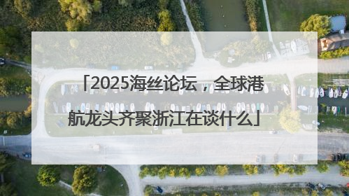 2025海丝论坛，全球港航龙头齐聚浙江在谈什么