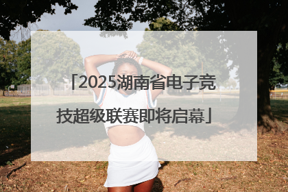 2025湖南省电子竞技超级联赛即将启幕