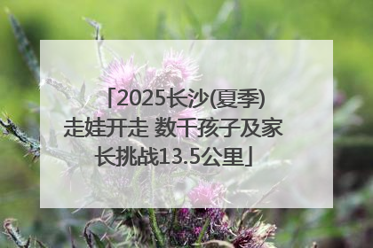 2025长沙(夏季)走娃开走 数千孩子及家长挑战13.5公里