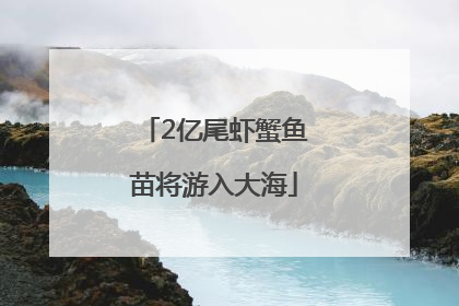 2亿尾虾蟹鱼苗将游入大海
