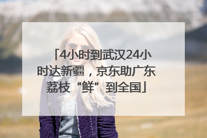 4小时到武汉24小时达新疆，京东助广东荔枝“鲜”到全国