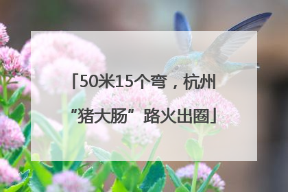 50米15个弯，杭州“猪大肠”路火出圈