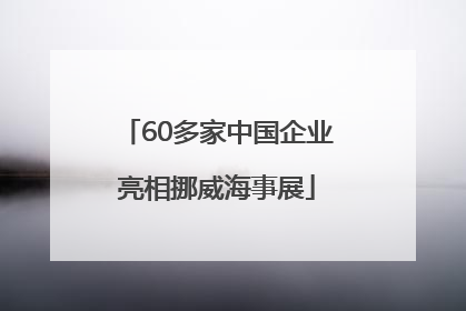 60多家中国企业亮相挪威海事展