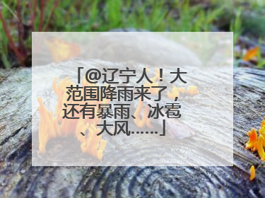 @辽宁人！大范围降雨来了，还有暴雨、冰雹、大风……