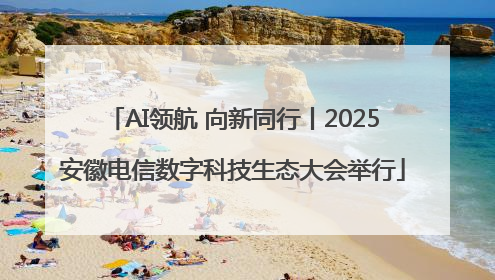 AI领航 向新同行丨2025安徽电信数字科技生态大会举行