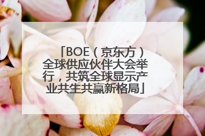 BOE（京东方）全球供应伙伴大会举行，共筑全球显示产业共生共赢新格局