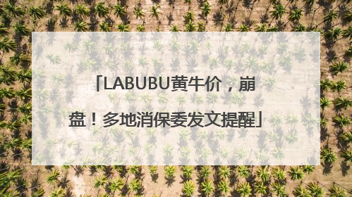 LABUBU黄牛价，崩盘！多地消保委发文提醒